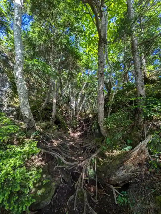赤薙山神社の周辺
