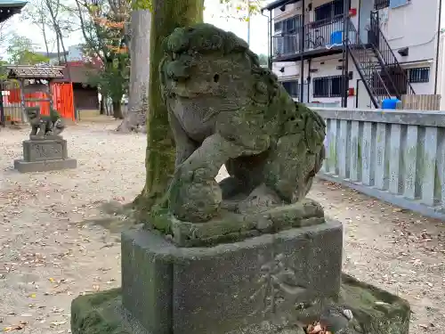 青渭神社の狛犬