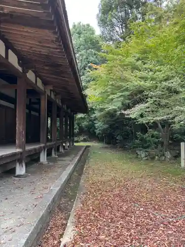 法界寺(日野薬師)の自然
