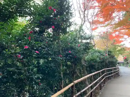 圓通閣の庭園