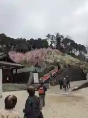 大縣神社の庭園