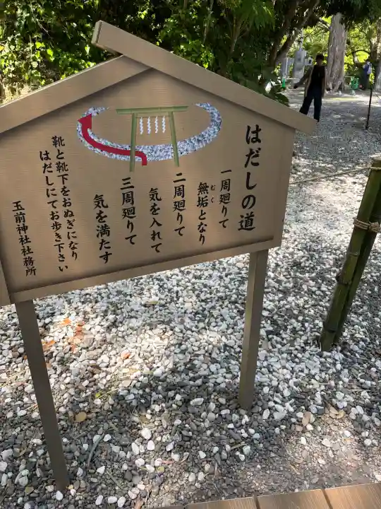 玉前神社の{uncategorized: "未分類", other: "その他", undefined: "問題あり", building: "その他建物", grave: "お墓", sacred_gate: "鳥居", guardian: "狛犬", statue: "像", buddha: "仏像", history: "歴史", nature: "自然", garden: "庭園", animal: "動物", pagoda: "塔", temizu: "手水舎", mountain_gate: "山門・神門", sanctuary: "本殿・本堂", subordinate: "末社・摂社", art: "芸術", scenery: "景色", jizo: "地蔵", ema: "絵馬", goshuin: "御朱印", omikuji: "おみくじ", items: "授与品その他", amulet: "お守り", goshuincho: "御朱印帳", eats: "食事", festival: "お祭り", votive_dance: "神楽", shichigosan: "七五三参", wedding: "結婚式", experience: "体験その他", initially: "初詣", around: "周辺", anti_infection: "感染症対策"}