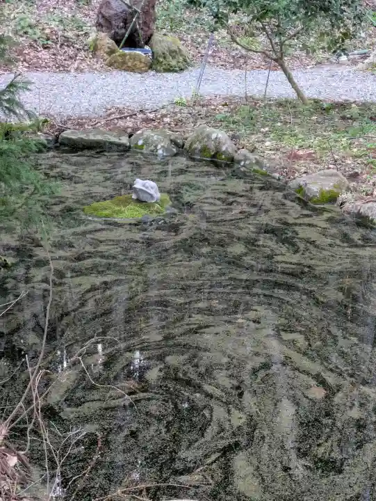函館八幡宮の動物