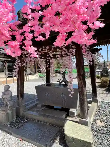 寺岡山元三大師の{uncategorized: "未分類", other: "その他", undefined: "問題あり", building: "その他建物", grave: "お墓", sacred_gate: "鳥居", guardian: "狛犬", statue: "像", buddha: "仏像", history: "歴史", nature: "自然", garden: "庭園", animal: "動物", pagoda: "塔", temizu: "手水舎", mountain_gate: "山門・神門", sanctuary: "本殿・本堂", subordinate: "末社・摂社", art: "芸術", scenery: "景色", jizo: "地蔵", ema: "絵馬", goshuin: "御朱印", omikuji: "おみくじ", items: "授与品その他", amulet: "お守り", goshuincho: "御朱印帳", eats: "食事", festival: "お祭り", votive_dance: "神楽", shichigosan: "七五三参", wedding: "結婚式", experience: "体験その他", initially: "初詣", around: "周辺", anti_infection: "感染症対策"}