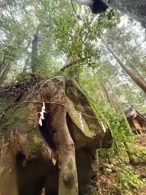 滝尻王子宮十郷神社の{uncategorized: "未分類", other: "その他", undefined: "問題あり", building: "その他建物", grave: "お墓", sacred_gate: "鳥居", guardian: "狛犬", statue: "像", buddha: "仏像", history: "歴史", nature: "自然", garden: "庭園", animal: "動物", pagoda: "塔", temizu: "手水舎", mountain_gate: "山門・神門", sanctuary: "本殿・本堂", subordinate: "末社・摂社", art: "芸術", scenery: "景色", jizo: "地蔵", ema: "絵馬", goshuin: "御朱印", omikuji: "おみくじ", items: "授与品その他", amulet: "お守り", goshuincho: "御朱印帳", eats: "食事", festival: "お祭り", votive_dance: "神楽", shichigosan: "七五三参", wedding: "結婚式", experience: "体験その他", initially: "初詣", around: "周辺", anti_infection: "感染症対策"}