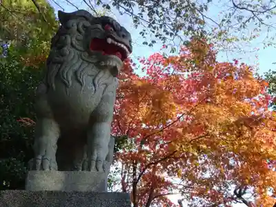 比々多神社の狛犬
