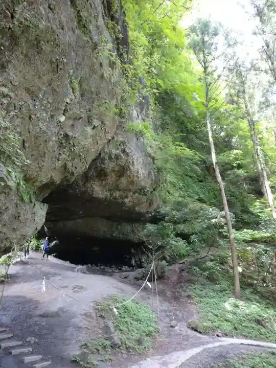 上色見熊野座神社の自然