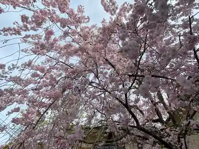 善行院(京都府)