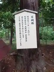 塚崎神明社(千葉県)