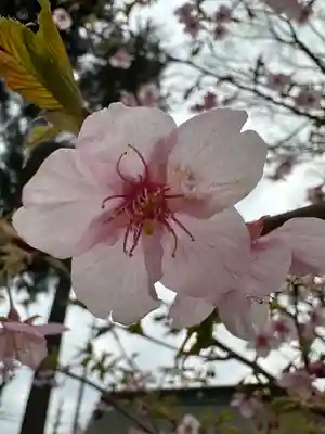 小野神社(東京都)