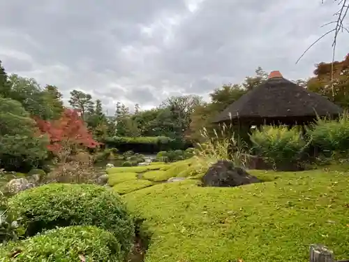 退蔵院の庭園