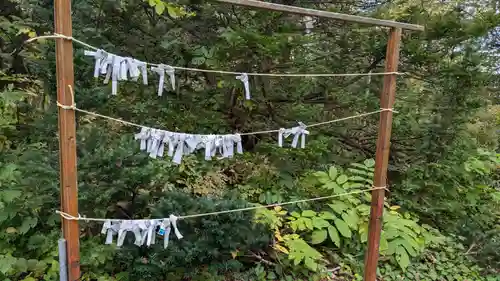 名寄神社のおみくじ