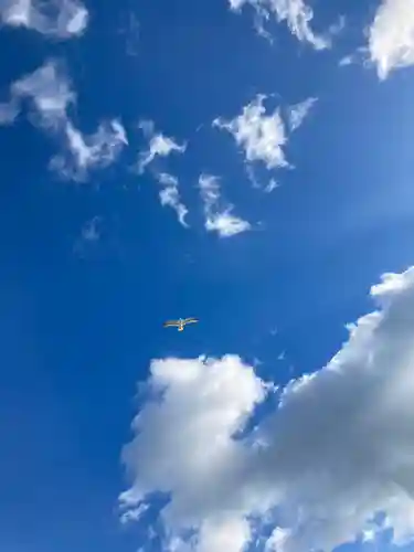 金刀比羅社(兵庫県)