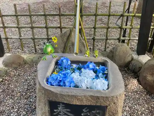 武甕槌神社の手水舎