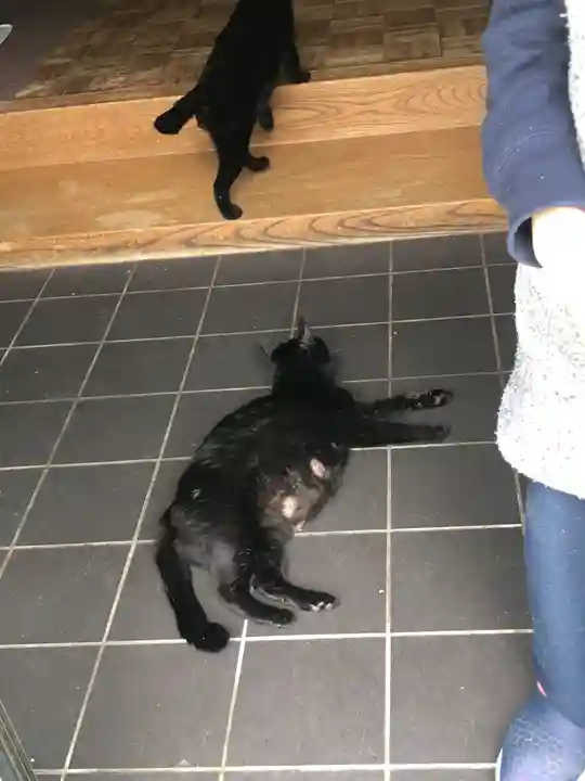 天麟院(宮城県)