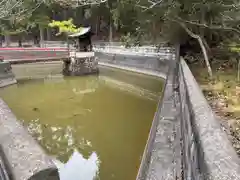 厳島神社(徳島県)