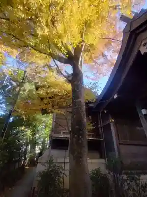 行田八幡神社(埼玉県)