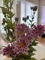 金枝白蛇大権現(栃木県)