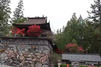 高野山金剛峯寺(和歌山県)
