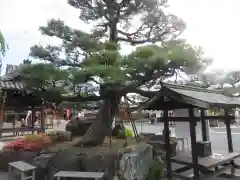 総持寺(大阪府)