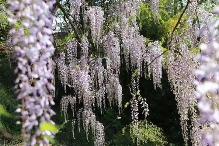 春日神社の庭園