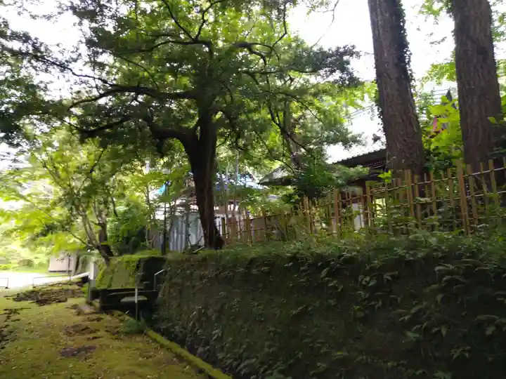 小松寺の周辺