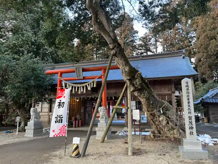 賀茂神社(宮城県)