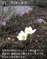 宝光寺(北海道)