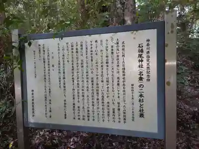 石楯尾神社の歴史