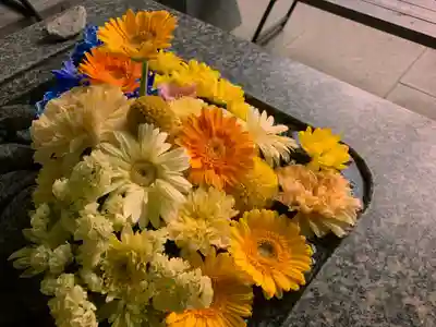 滑川神社 - 仕事と子どもの守り神の手水舎