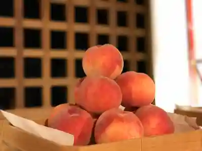 高司神社〜むすびの神の鎮まる社〜の食事
