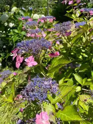 極楽寺(静岡県)