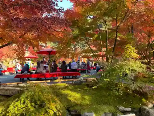 禅林寺（永観堂）の庭園