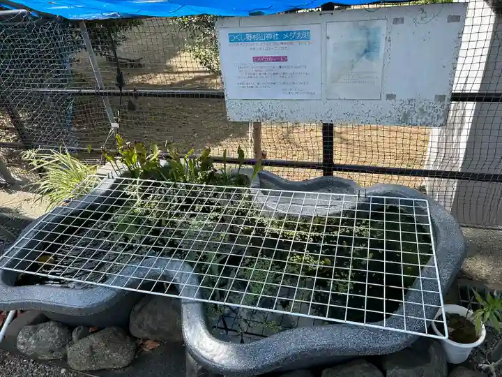 杉山神社(東京都)