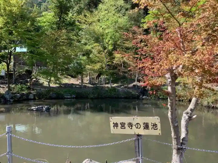 伊香具神社の庭園