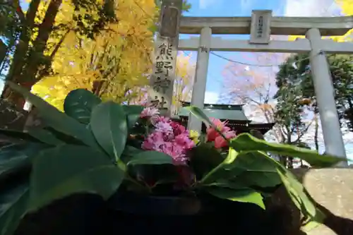 熊野福藏神社の手水