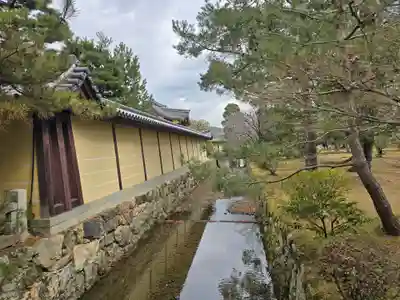 大覚寺(京都府)