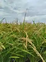 厚別神社(北海道)