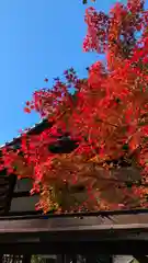 新熊野神社(京都府)