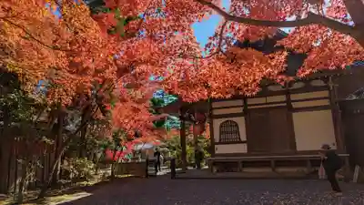 赤山禅院(京都府)