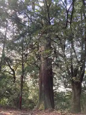 貴布禰神社の自然
