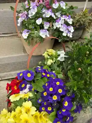 岡部春日神社～👹鬼門よけの🌺花咲く🌺やしろ～(福島県)
