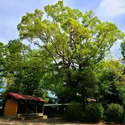 鹿苑神社(静岡県)