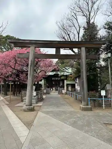 荏原神社の鳥居