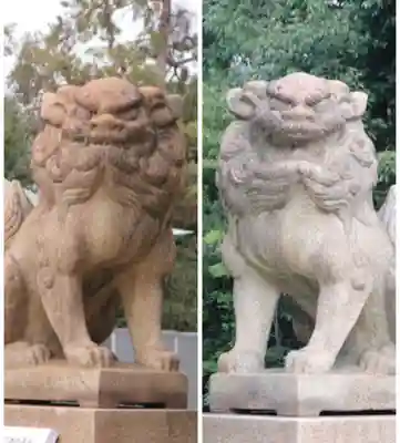 弓弦羽神社の狛犬