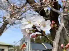 船玉神社(茨城県)