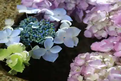 神炊館神社 ⁂奥州須賀川総鎮守⁂の手水舎