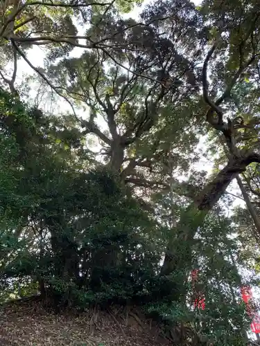 秋葉神社のその他建物