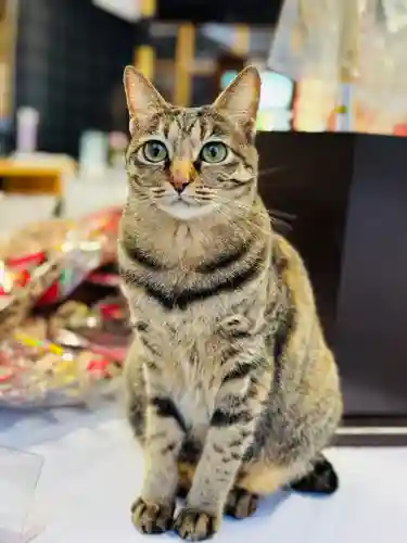 守りの神　藤基神社(新潟県)