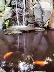 熊野神社(東京都)